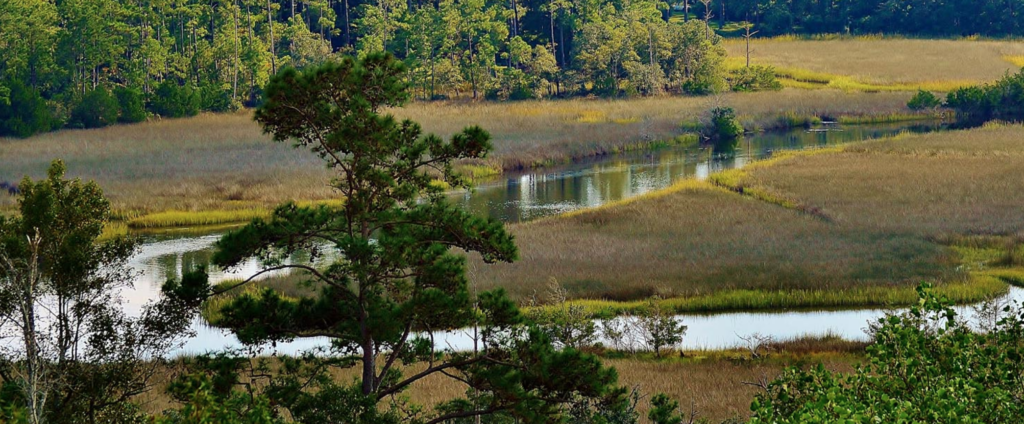 area guide to living is Shalotte NC