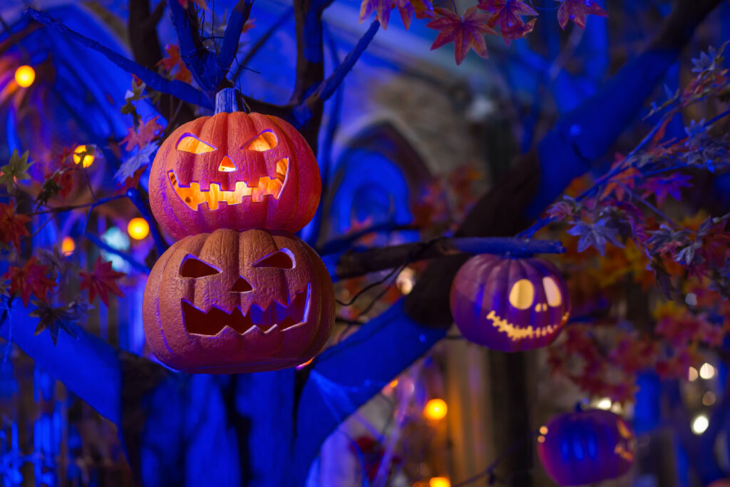 Your Home Sold Guaranteed Realty - TMS Real Estate Team offers 3 Halloween safety tips for homeowners to decorate safe.